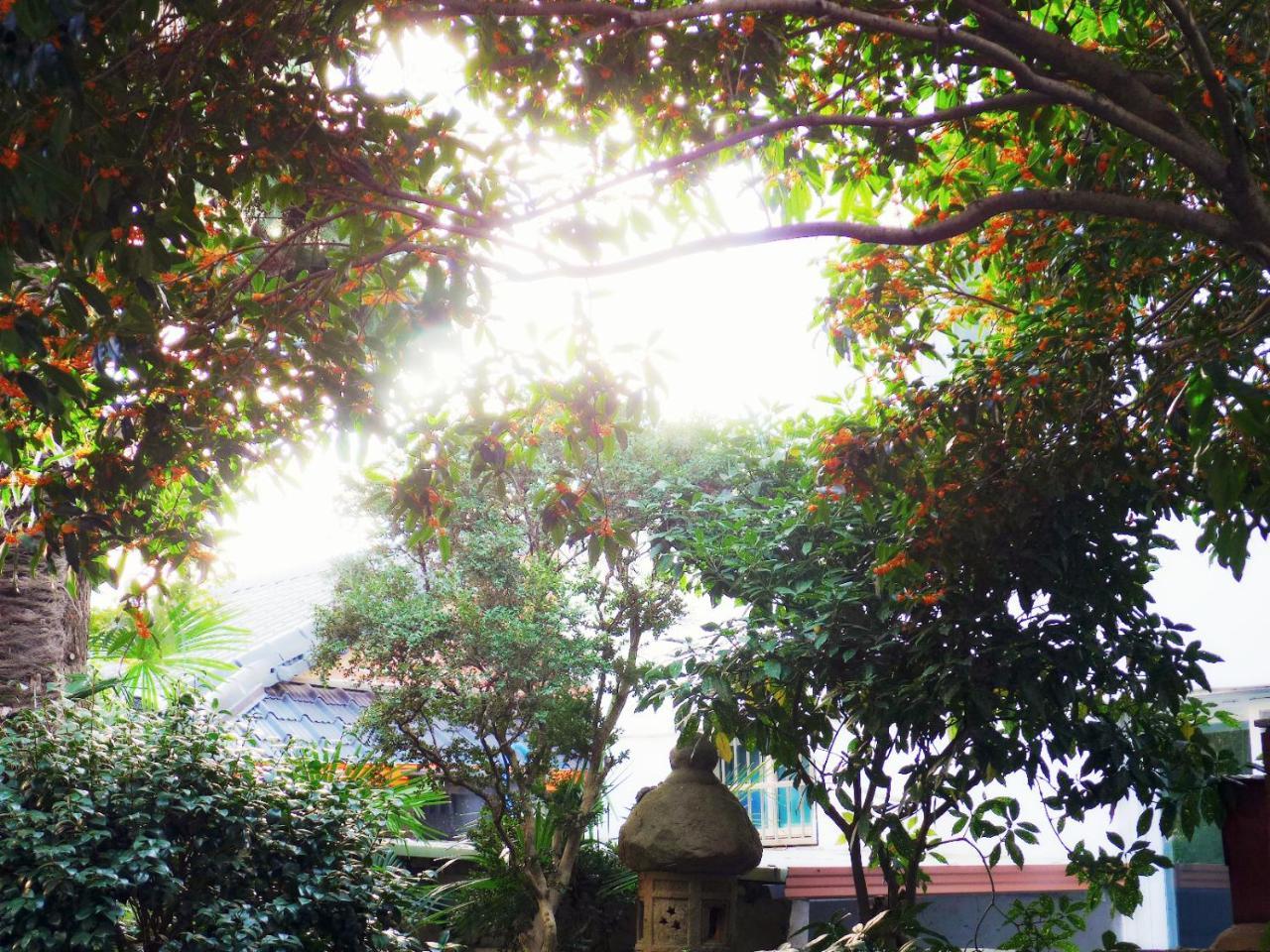 Picasso Guesthouse Mokpo Exterior foto